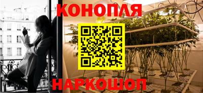 стаф Краснознаменск