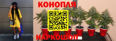 стаф Краснознаменск