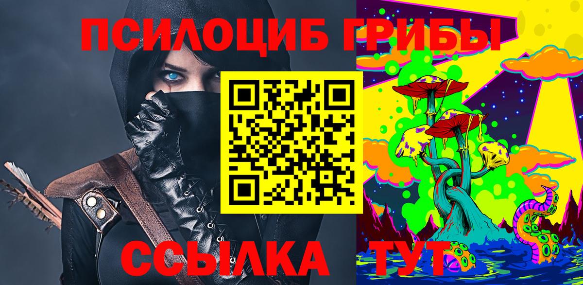 Псилоцибиновые грибы Psilocybine cubensis  Вход с VPN  Калуга 