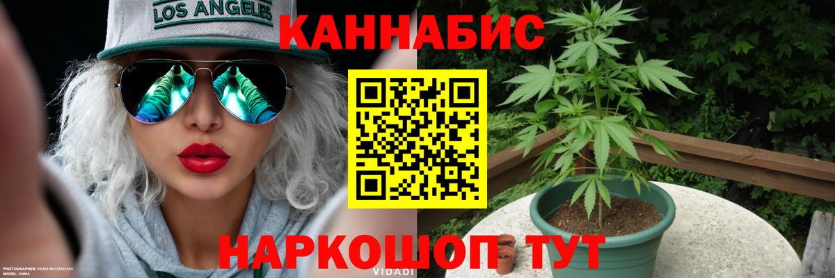 Бошки марихуана гибрид  Конопля тримм  Вход с VPN  Марихуана тримм  Калуга 